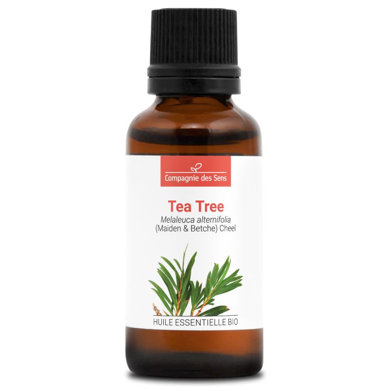 Tea Tree - Huile Essentielle Bio 30 ml Purifiante et Naturelle